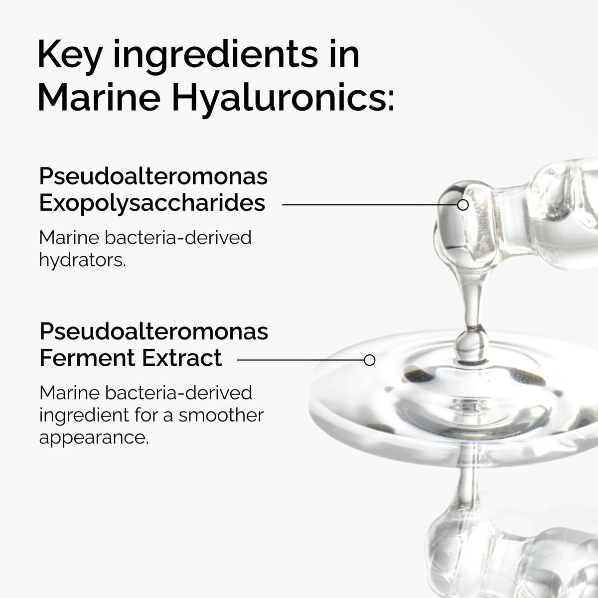 marine-hyaluronics-v3 FY25-D41247-ORD-Web-PDP-Marine-Hya-1x1-EN-2a.jpg