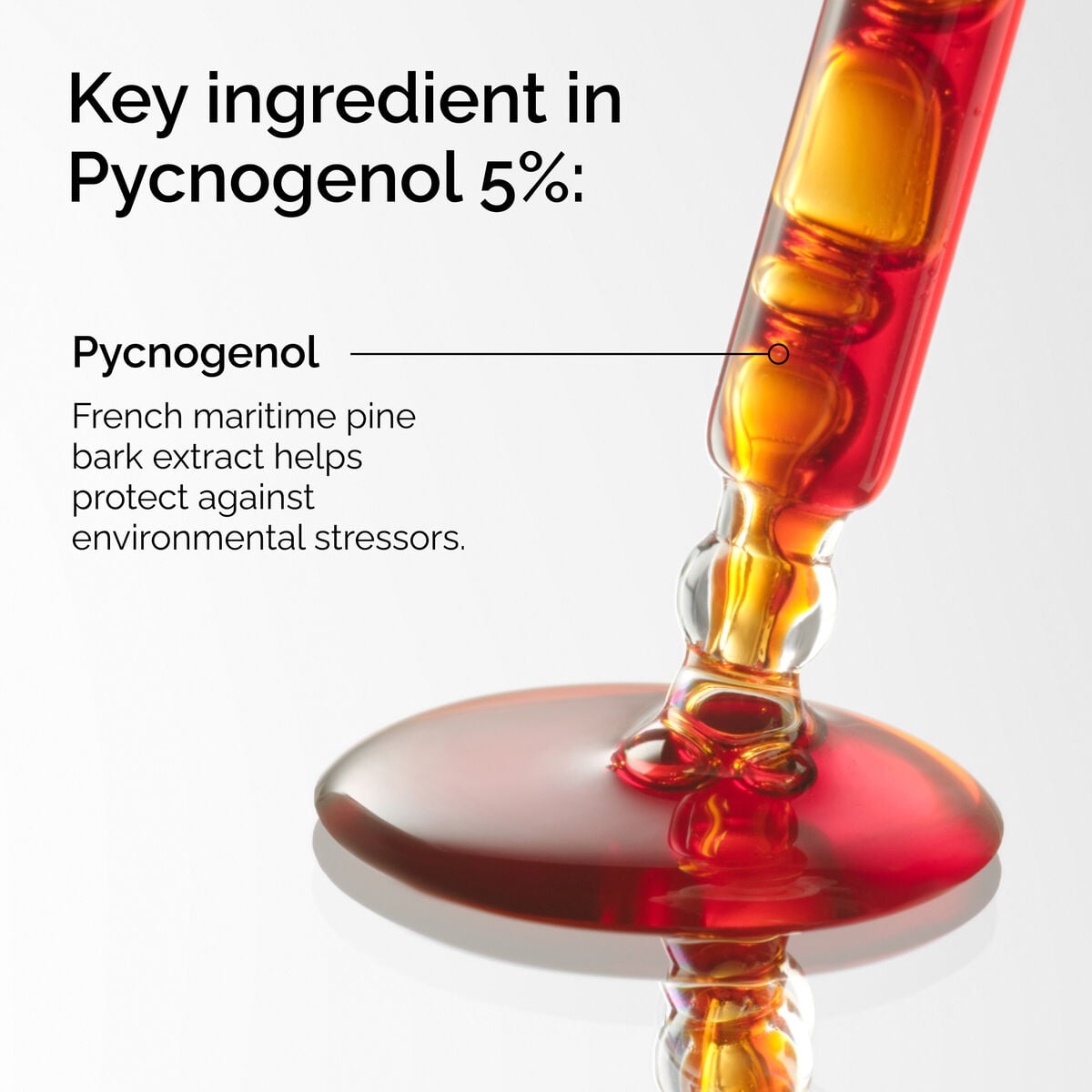 pycnogenol-5-c8 FY25-D41247-ORD-Web-PDP-Pyc-5pct-1x1-EN-2a.jpg