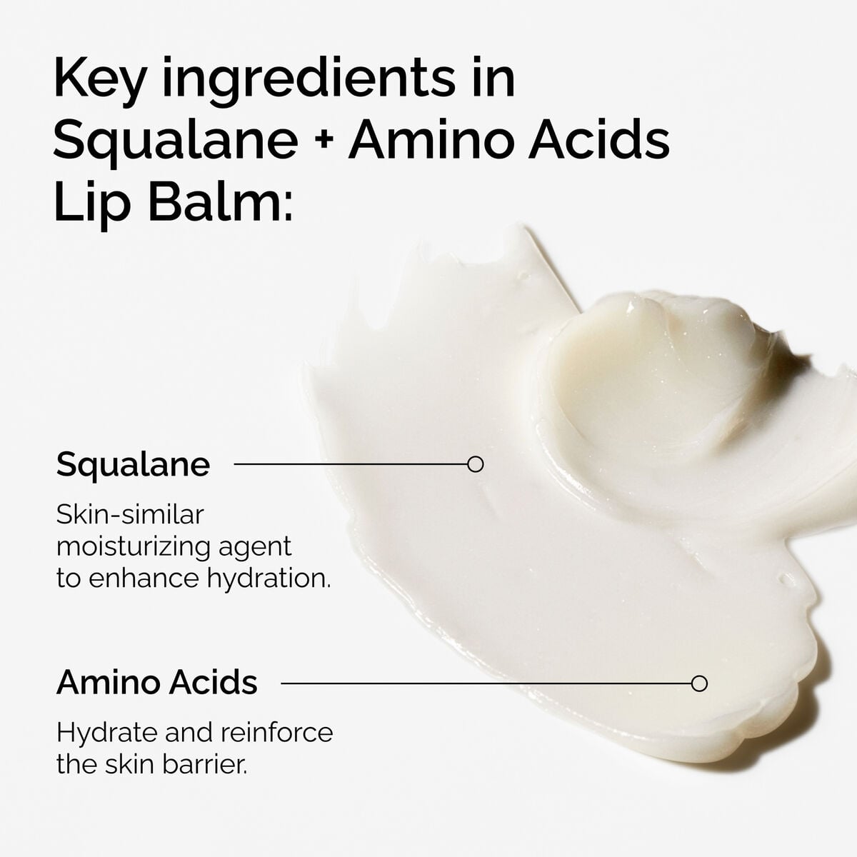 squalane-amino-acids-lip-balm-q0 FY25-D41247-ORD-Web-PDP-Sql-Amino-Lip-1x1-EN-2a.jpg