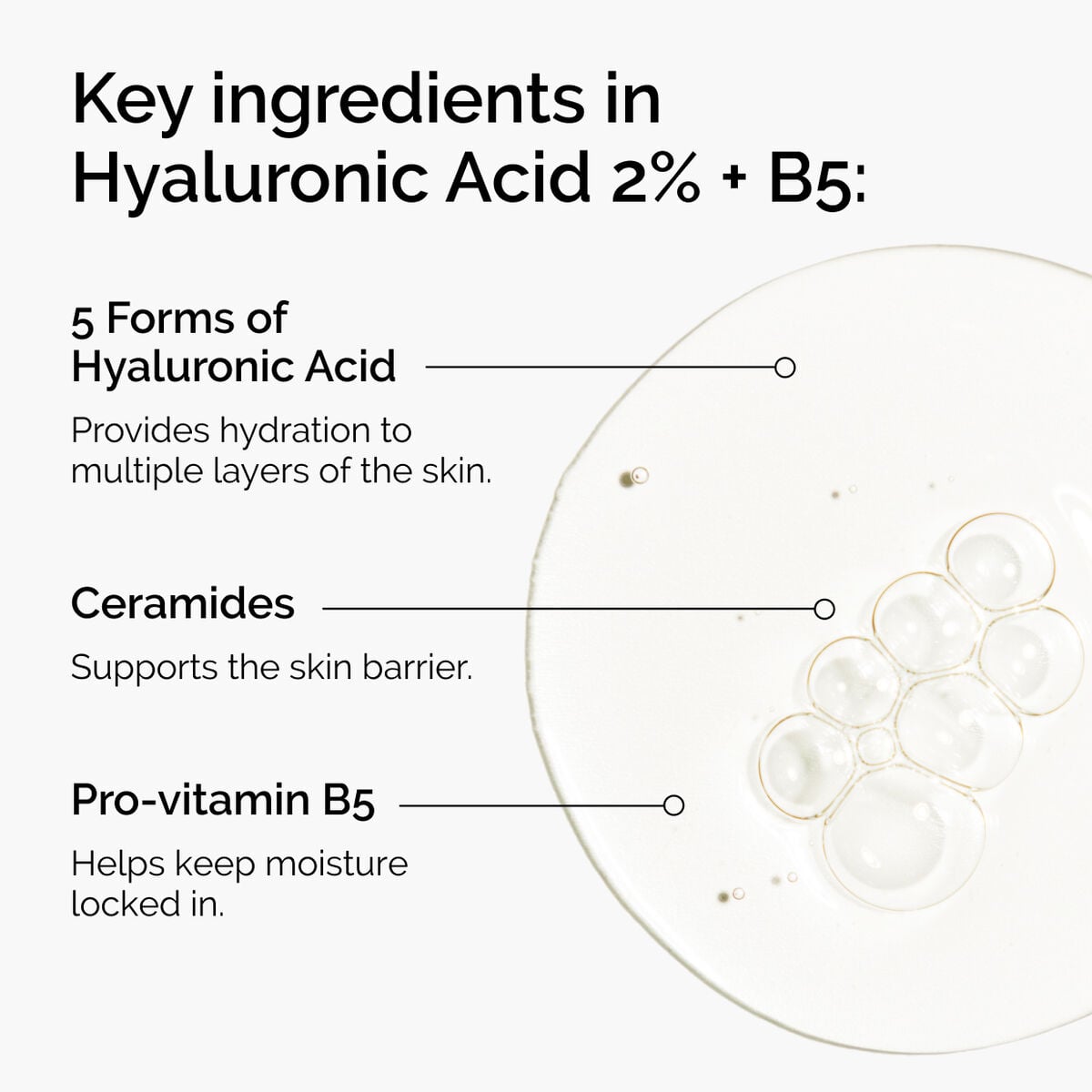hyaluronic-acid-2-b5-with-ceramides-f3 ord-hyaluronic-acid-2pct-b5-hydrating-serum-ingredients-graphic.jpg