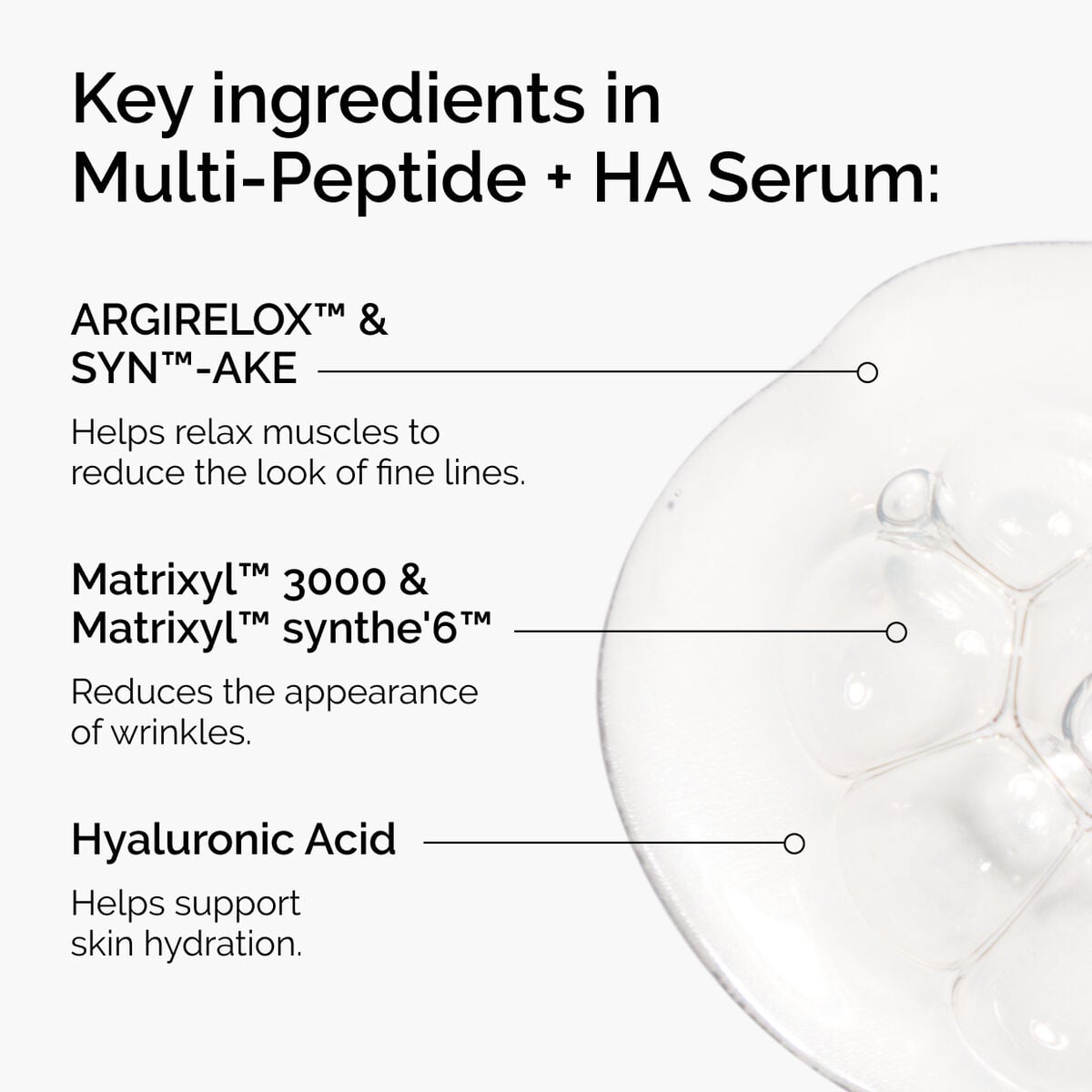 the-age-support-set-g8 ord-multi-peptide-ha-ingredients-graphic.jpg