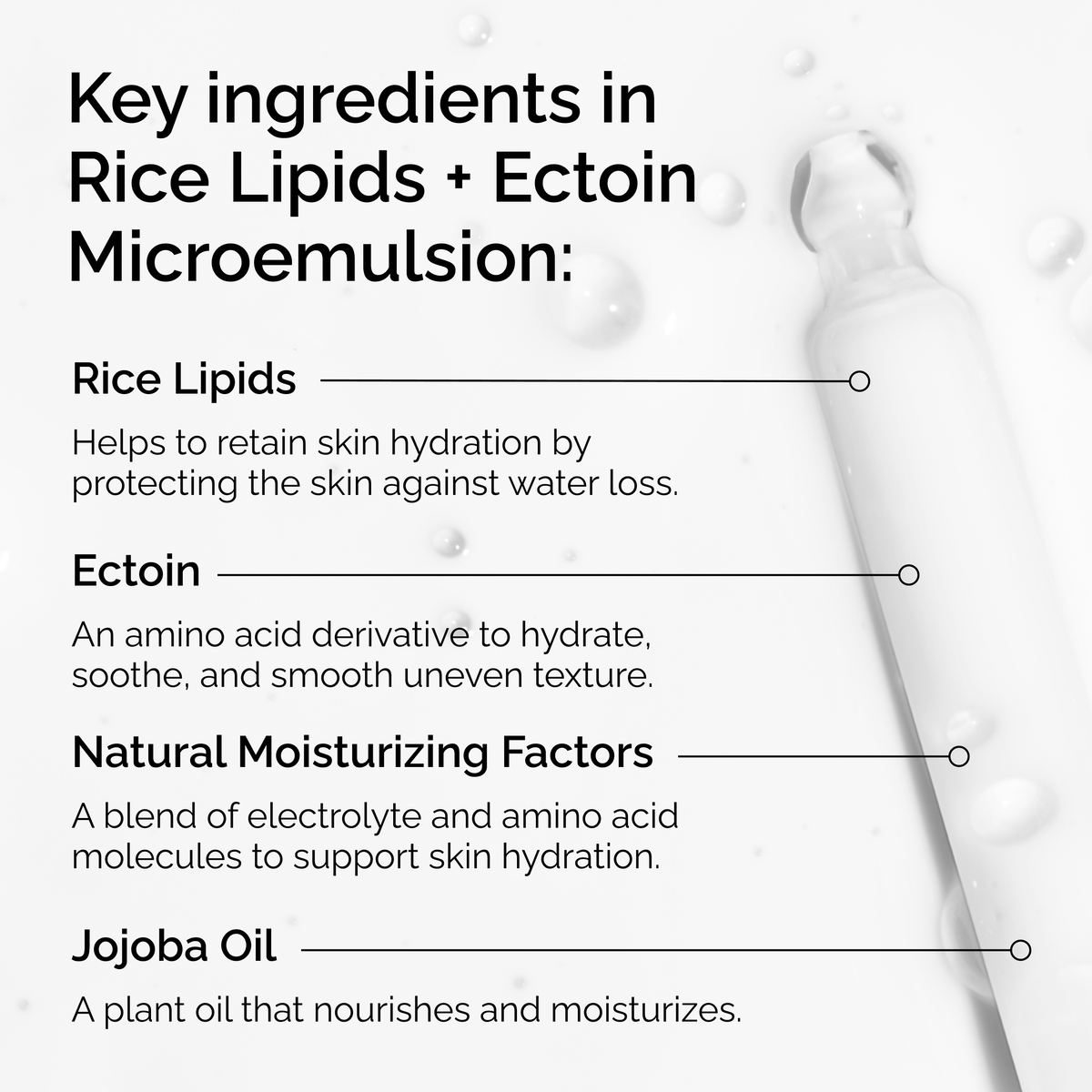 rice-lipids-ectoin-microemulsion-o6 ord-rice-lipids-ectoin-microemulsion-key-ingredients.png