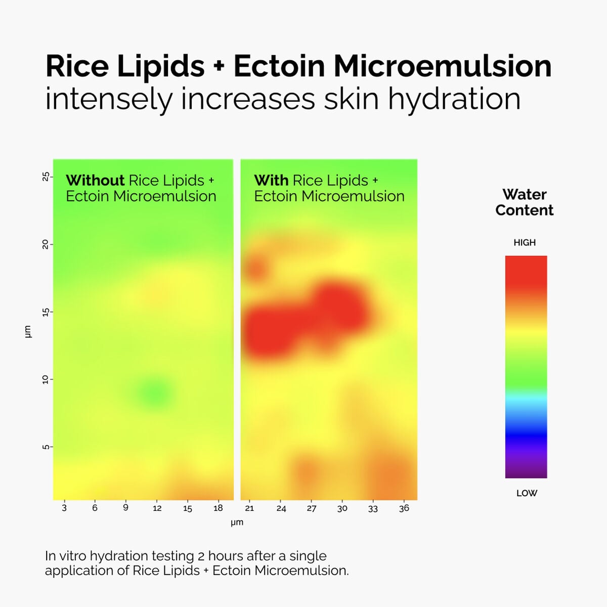 rice-lipids-ectoin-microemulsion-o6 ord-rice-lipids-ectoin-microemulsion-thermal-before-after.jpg